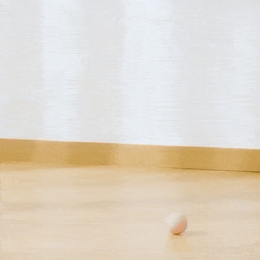 Minge Interactivă pentru Câini